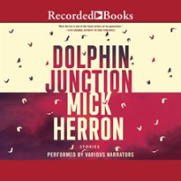 Dolphin_Junction